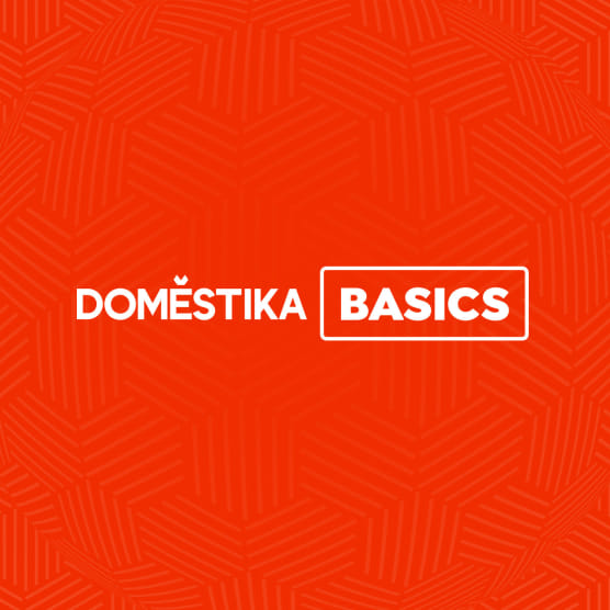 Domestika Basics: los cursos para aprender desde la base